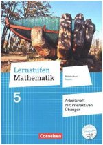 Lernstufen Mathematik - Mittelschule Bayern 2017 - 5. Jahrgangsstufe