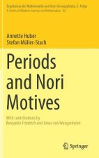 Periods and Nori Motives
