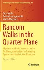Random Walks in the Quarter Plane