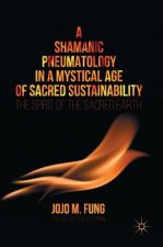 Shamanic Pneumatology in a Mystical Age of Sacred Sustainability