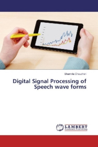Digital Signal Processing of Speech wave forms