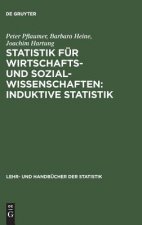Statistik fur Wirtschafts- und Sozialwissenschaften