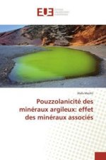 Pouzzolanicité des minéraux argileux: effet des minéraux associés