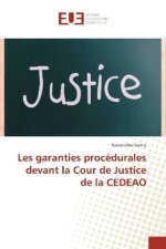 Les garanties procédurales devant la Cour de Justice de la CEDEAO