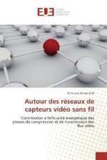 Autour des réseaux de capteurs vidéo sans fil