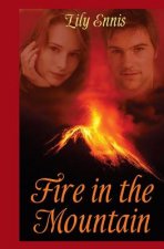 FIRE IN THE MOUNTAIN