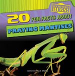 20 Fun Facts About Praying Mantises