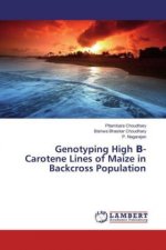 Genotyping High - Carotene Lines of Maize in Backcross Population