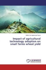 Impact of agricultural technology adoption on small farms wheat yield