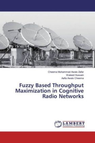 Fuzzy Based Throughput Maximization in Cognitive Radio Networks