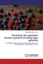 Unveiling the globular cluster systems of early-type galaxies