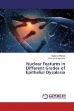 Nuclear Features in Different Grades of Epithelial Dysplasia