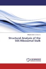 Structural Analysis of the 50S Ribosomal Stalk