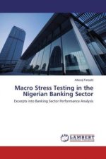 Macro Stress Testing in the Nigerian Banking Sector
