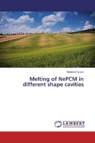 Melting of NePCM in different shape cavities