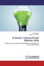 A Green, Future-Proof Electric Grid