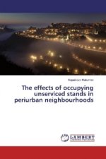 The effects of occupying unserviced stands in periurban neighbourhoods