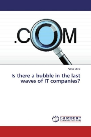 Is there a bubble in the last waves of IT companies?