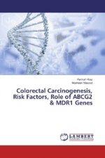 Colorectal Carcinogenesis, Risk Factors, Role of ABCG2 & MDR1 Genes