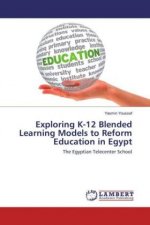 Exploring K-12 Blended Learning Models to Reform Education in Egypt