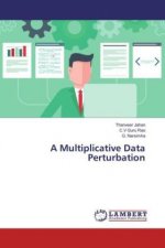 A Multiplicative Data Perturbation