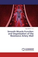 Smooth Muscle Function and Organization of the Resistance Artery Wall