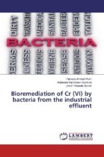 Bioremediation of Cr (VI) by bacteria from the industrial effluent