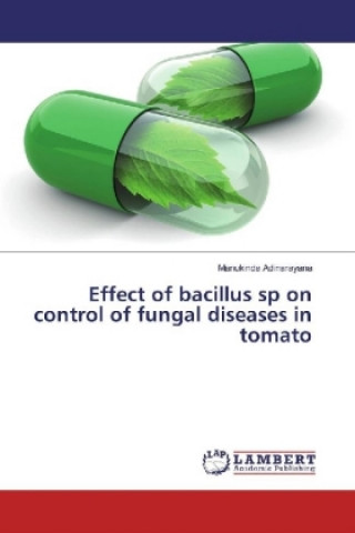 Effect of bacillus sp on control of fungal diseases in tomato