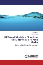 Different Models of Laminar MHD Flow in a Porous Media