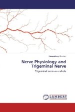 Nerve Physiology and Trigeminal Nerve
