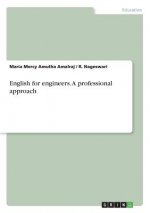 English for engineers. A professional approach