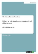 Effects of privatization on organizational effectiveness