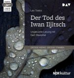 Der Tod des Iwan Iljitsch