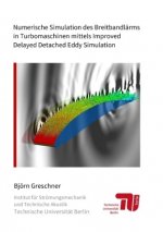 Numerische Simulation des Breitbandlärms in Turbomaschinen mittels Improved Delayed Detached Eddy Simulation