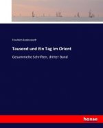 Tausend und Ein Tag im Orient