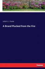 Brand Plucked from the Fire