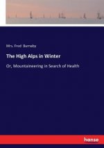 High Alps in Winter