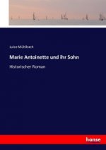 Marie Antoinette und ihr Sohn