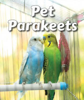 Pet Parakeets