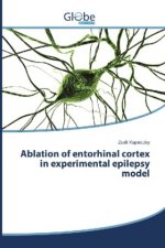 Ablation of entorhinal cortex in experimental epilepsy model