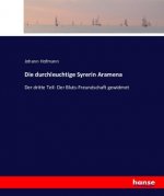 durchleuchtige Syrerin Aramena