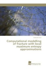 Computational modelling of fracture with local maximum entropy approximations