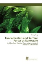 Fundamentals and Surface Forces at Nanoscale