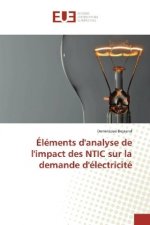 Éléments d'analyse de l'impact des NTIC sur la demande d'électricité