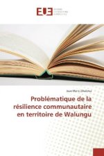 Problématique de la résilience communautaire en territoire de Walungu