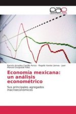 Economía mexicana: un análisis econométrico