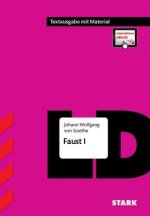 Textausgabe - Goethe: Faust. Mit eBook