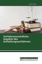 Verfahrensrechtliche Aspekte des Aufteilungsverfahrens