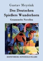 Des Deutschen Spiessers Wunderhorn