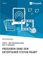ProSieben ohne den Entertainer Stefan Raab? Profil- und Markenbildung des TV-Senders